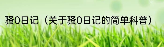 骚0日记（关于骚0日记的简单科普）