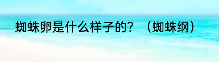 蜘蛛卵是什么样子的？（蜘蛛纲）