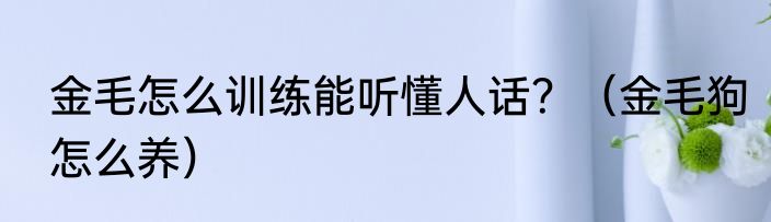 金毛怎么训练能听懂人话？（金毛狗怎么养）