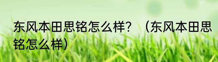 东风本田思铭怎么样？（东风本田思铭怎么样）
