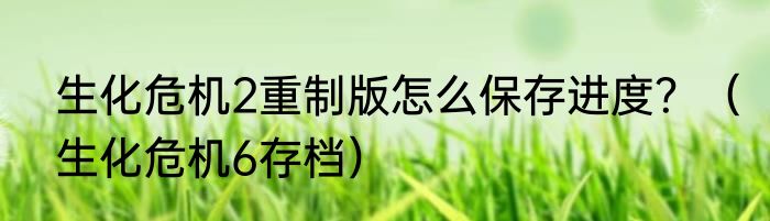 生化危机2重制版怎么保存进度？（生化危机6存档）