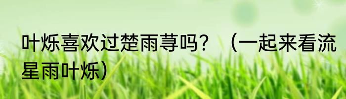 叶烁喜欢过楚雨荨吗？（一起来看流星雨叶烁）