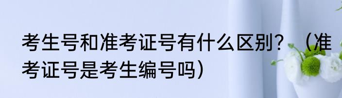 考生号和准考证号有什么区别？（准考证号是考生编号吗）