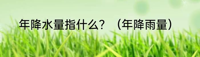 年降水量指什么？（年降雨量）