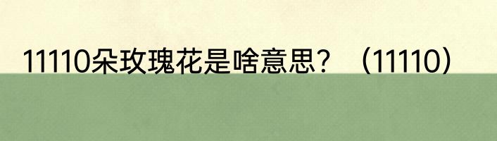 11110朵玫瑰花是啥意思？（11110）