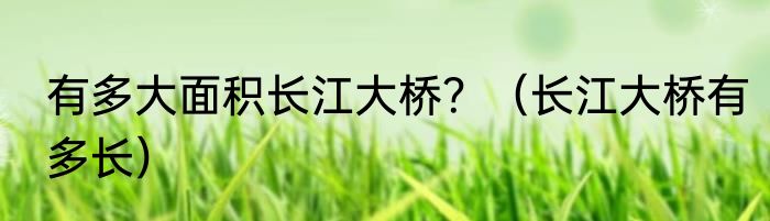 有多大面积长江大桥？（长江大桥有多长）