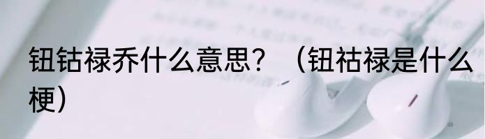 钮钴禄乔什么意思？（钮祜禄是什么梗）