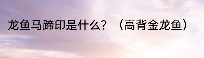 龙鱼马蹄印是什么？（高背金龙鱼）
