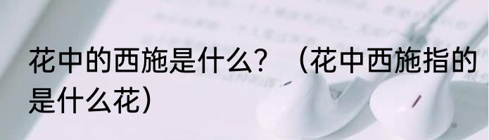 花中的西施是什么？（花中西施指的是什么花）