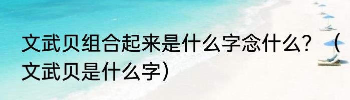 文武贝组合起来是什么字念什么？（文武贝是什么字）