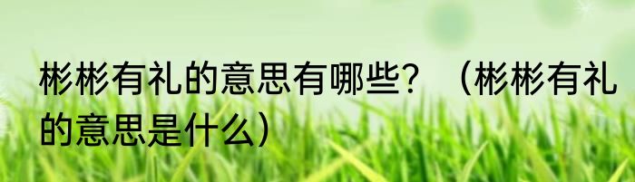 彬彬有礼的意思有哪些？（彬彬有礼的意思是什么）