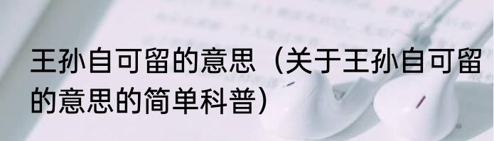 王孙自可留的意思（关于王孙自可留的意思的简单科普）