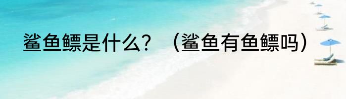 鲨鱼鳔是什么？（鲨鱼有鱼鳔吗）