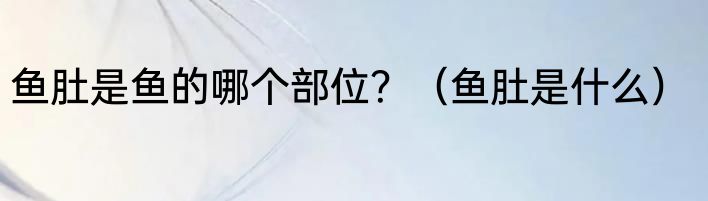鱼肚是鱼的哪个部位？（鱼肚是什么）