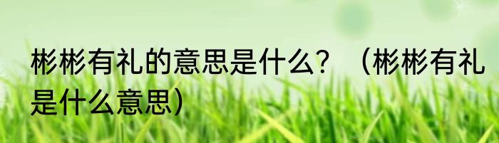 彬彬有礼的意思是什么？（彬彬有礼是什么意思）