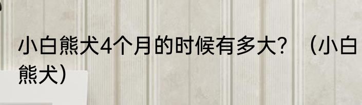 小白熊犬4个月的时候有多大？（小白熊犬）