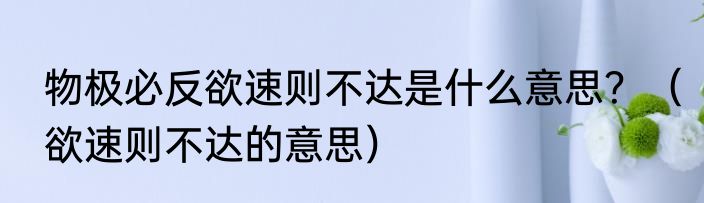 物极必反欲速则不达是什么意思？（欲速则不达的意思）