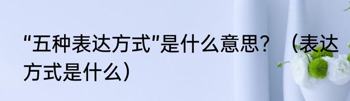 “五种表达方式”是什么意思？（表达方式是什么）