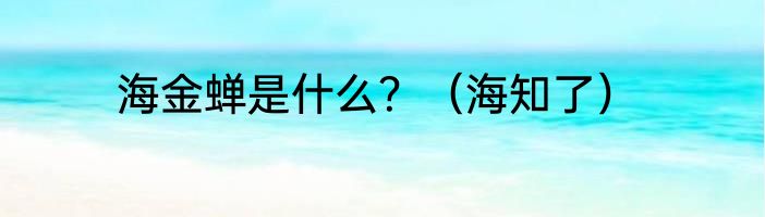 海金蝉是什么？（海知了）