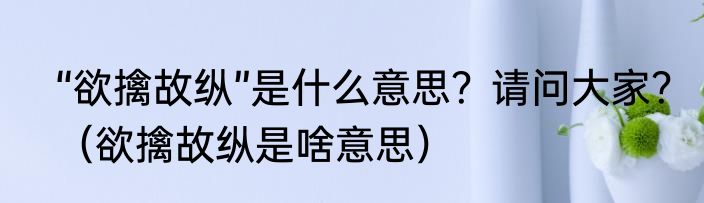 “欲擒故纵”是什么意思？请问大家？（欲擒故纵是啥意思）