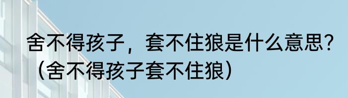 舍不得孩子，套不住狼是什么意思？（舍不得孩子套不住狼）