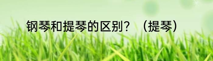 钢琴和提琴的区别？（提琴）