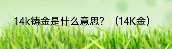 14k铸金是什么意思？（14K金）