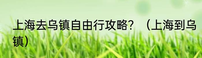 上海去乌镇自由行攻略？（上海到乌镇）
