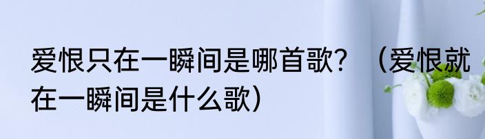 爱恨只在一瞬间是哪首歌？（爱恨就在一瞬间是什么歌）