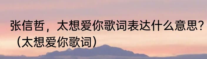 张信哲，太想爱你歌词表达什么意思？（太想爱你歌词）