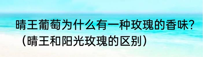 晴王葡萄为什么有一种玫瑰的香味？（晴王和阳光玫瑰的区别）