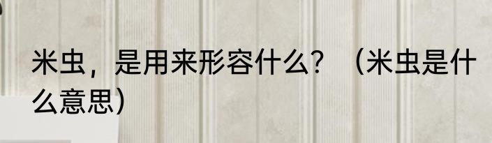 米虫，是用来形容什么？（米虫是什么意思）