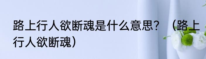 路上行人欲断魂是什么意思？（路上行人欲断魂）