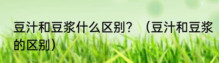 豆汁和豆浆什么区别？（豆汁和豆浆的区别）
