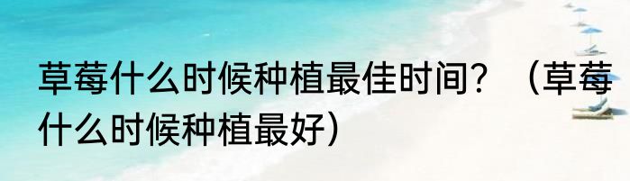 草莓什么时候种植最佳时间？（草莓什么时候种植最好）