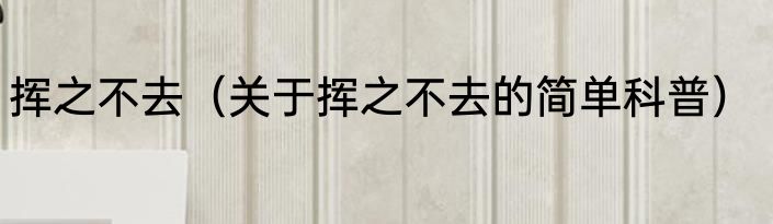 挥之不去（关于挥之不去的简单科普）