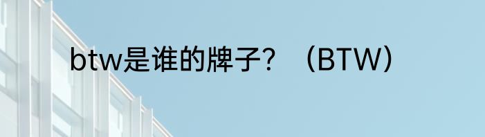 btw是谁的牌子？（BTW）