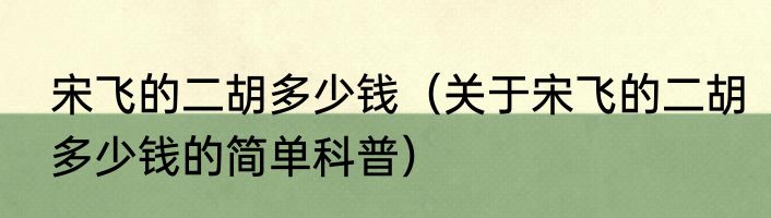 宋飞的二胡多少钱（关于宋飞的二胡多少钱的简单科普）