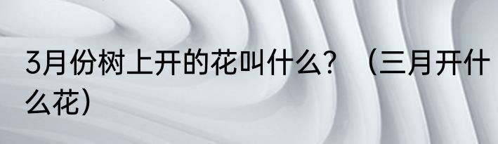 3月份树上开的花叫什么？（三月开什么花）