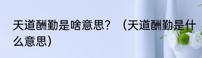 天道酬勤是啥意思？（天道酬勤是什么意思）