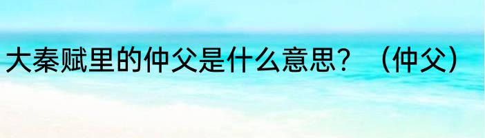 大秦赋里的仲父是什么意思？（仲父）