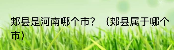 郏县是河南哪个市？（郏县属于哪个市）
