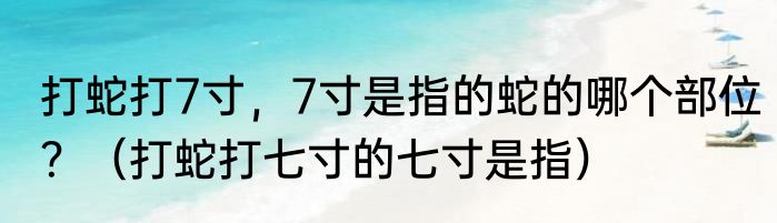 打蛇打7寸，7寸是指的蛇的哪个部位？（打蛇打七寸的七寸是指）