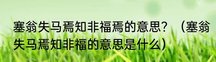 塞翁失马焉知非福焉的意思？（塞翁失马焉知非福的意思是什么）