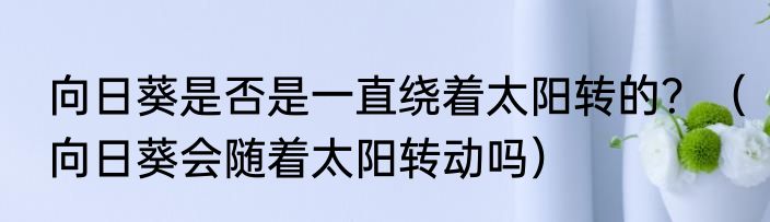 向日葵是否是一直绕着太阳转的？（向日葵会随着太阳转动吗）