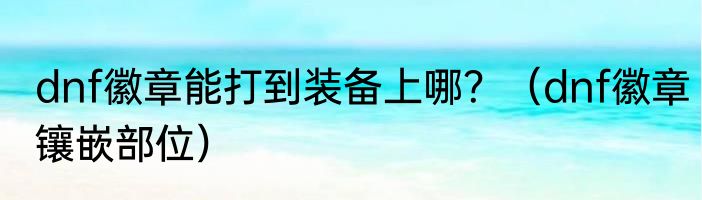 dnf徽章能打到装备上哪？（dnf徽章镶嵌部位）