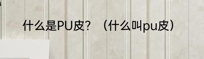 什么是PU皮？（什么叫pu皮）