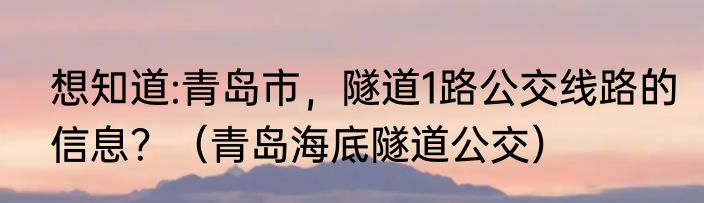 想知道:青岛市，隧道1路公交线路的信息？（青岛海底隧道公交）