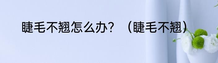 睫毛不翘怎么办?(睫毛不翘)
