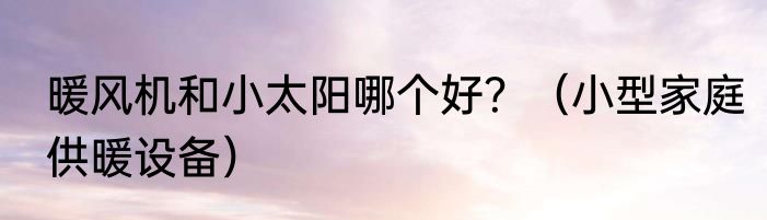 暖风机和小太阳哪个好？（小型家庭供暖设备）
